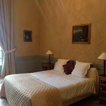 Ξενοδοχείο Chateau Du Marechal De Saxe 4*