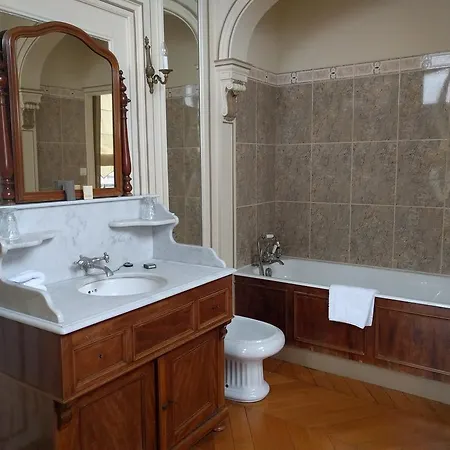 Chateau Du Marechal De Saxe 4*